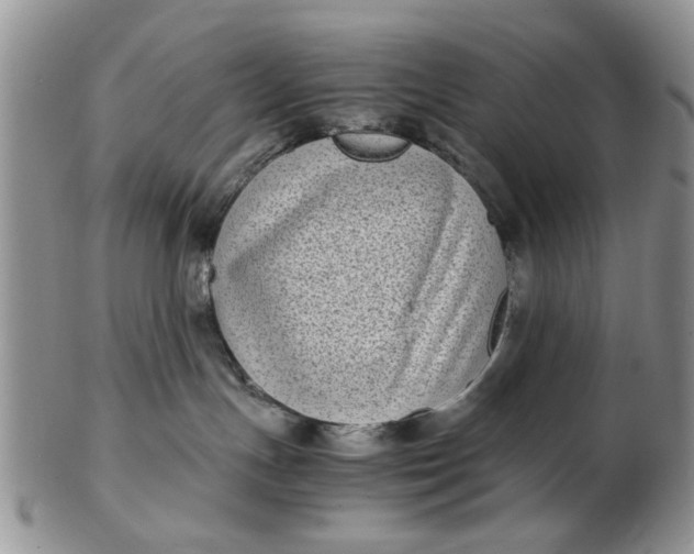 X0000102800191200809021144