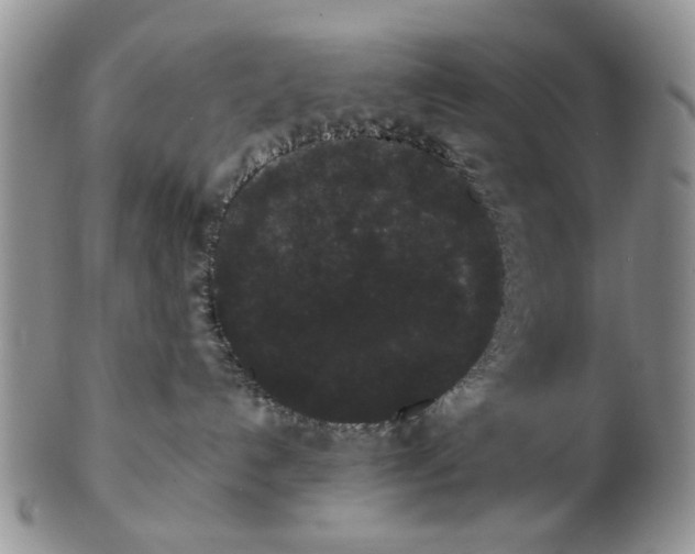 X0000102800192200809021144