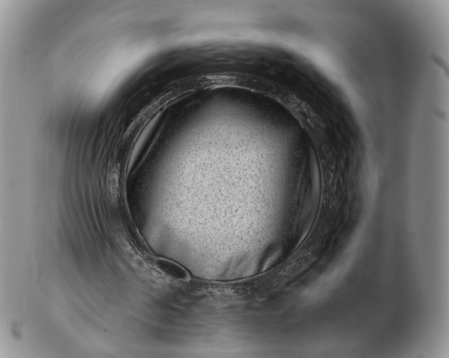 X0000102800194200809021144