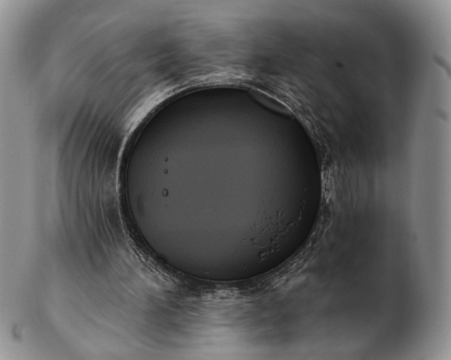 X0000102800196200809021144