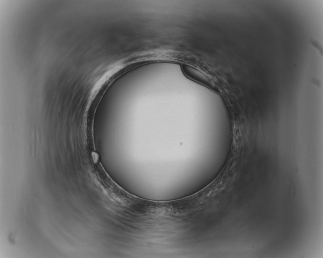 X0000102800200200809021144