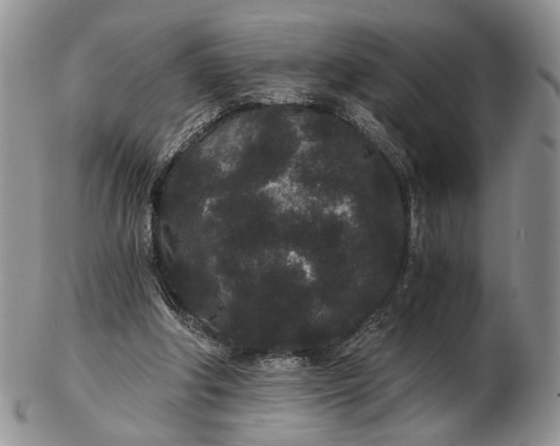 X0000102800202200809021144