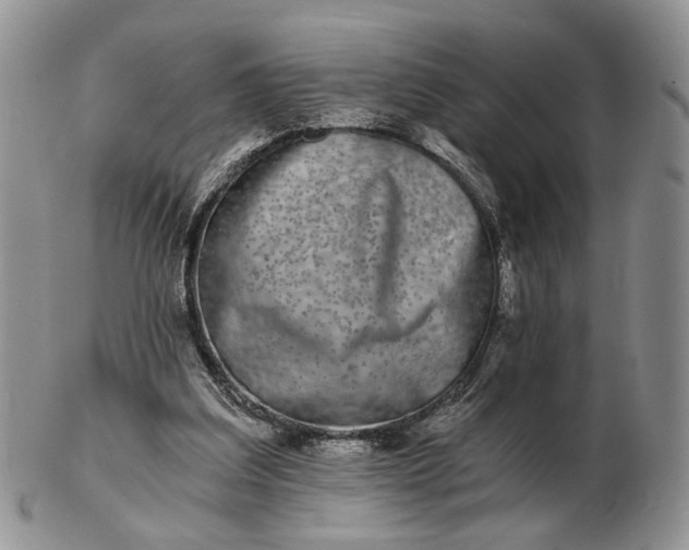 X0000102800203200809021144