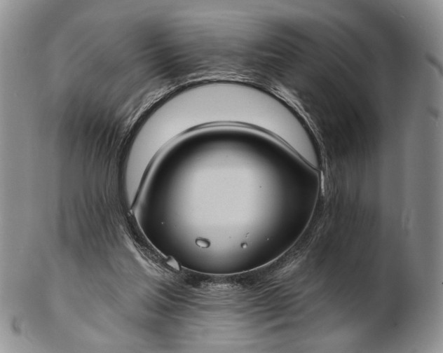 X0000102800205200809021144