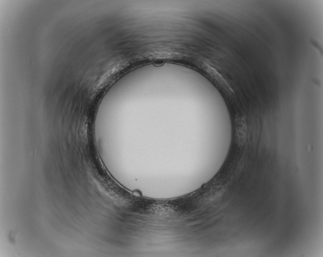 X0000102800207200809021144