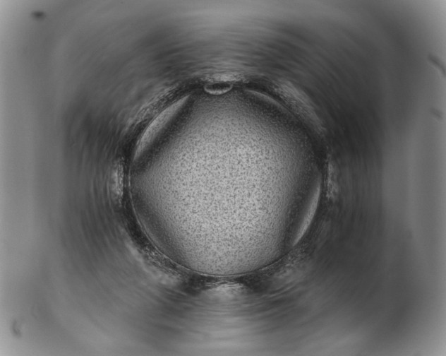 X0000102800210200809021144