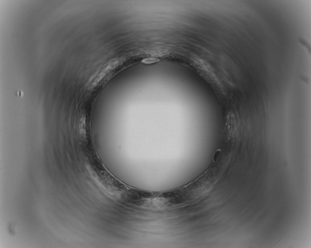 X0000102800212200809021144