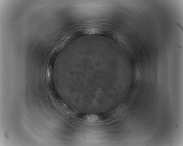 X0000102800214200809021144