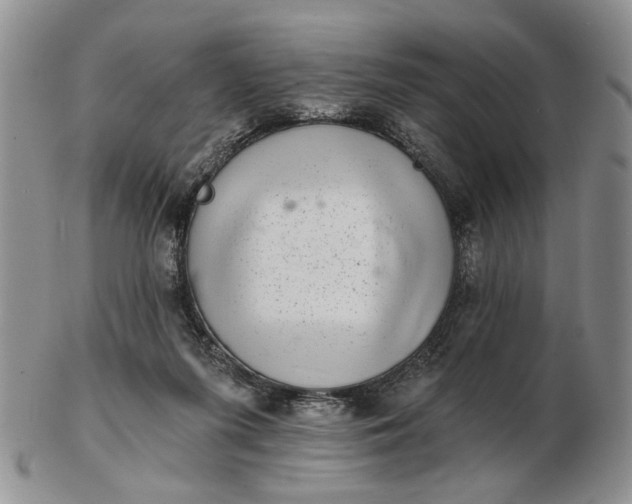 X0000102800215200809021143