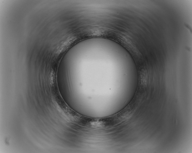 X0000102800216200809021143