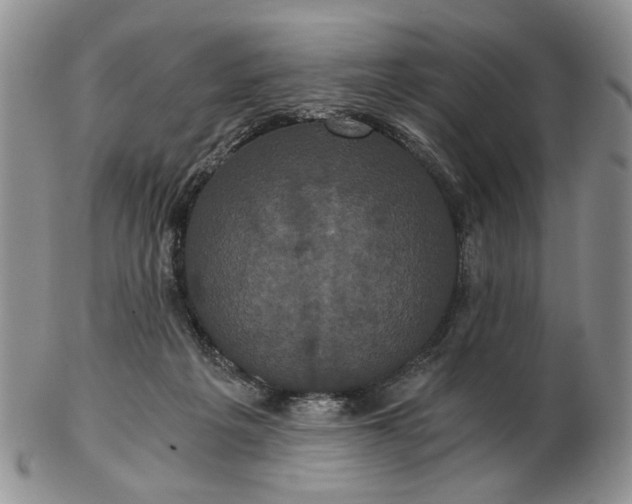 X0000102800217200809021143