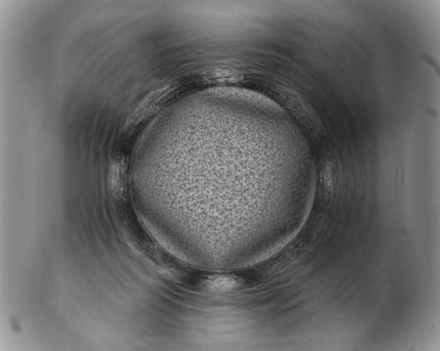 X0000102800218200809021143