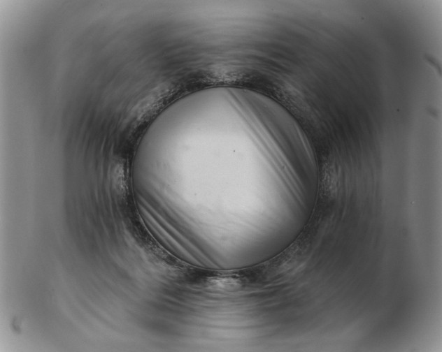 X0000102800220200809021143