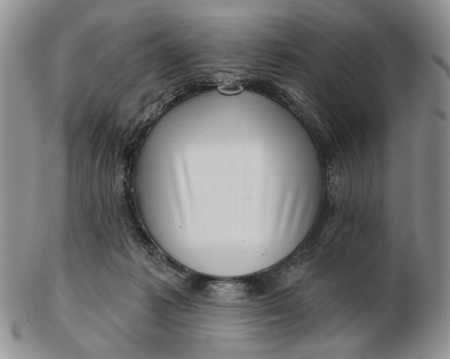 X0000102800221200809021143