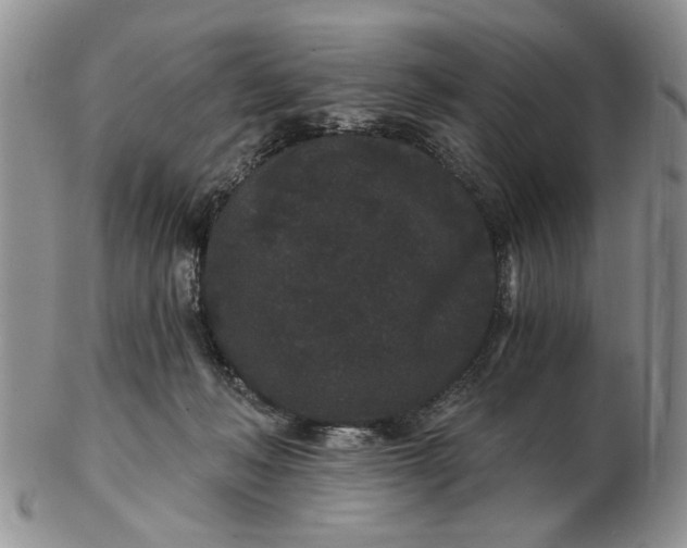 X0000102800222200809021143