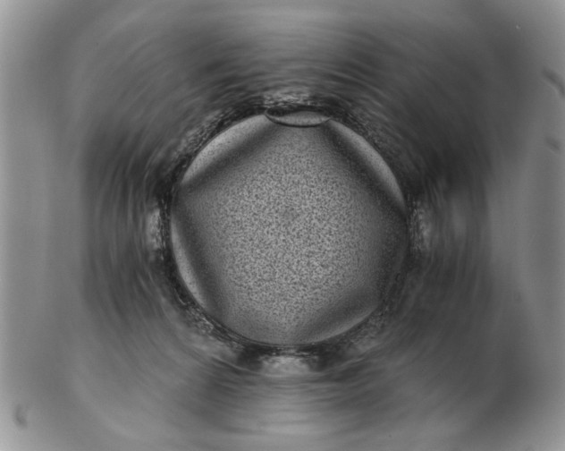 X0000102800224200809021143