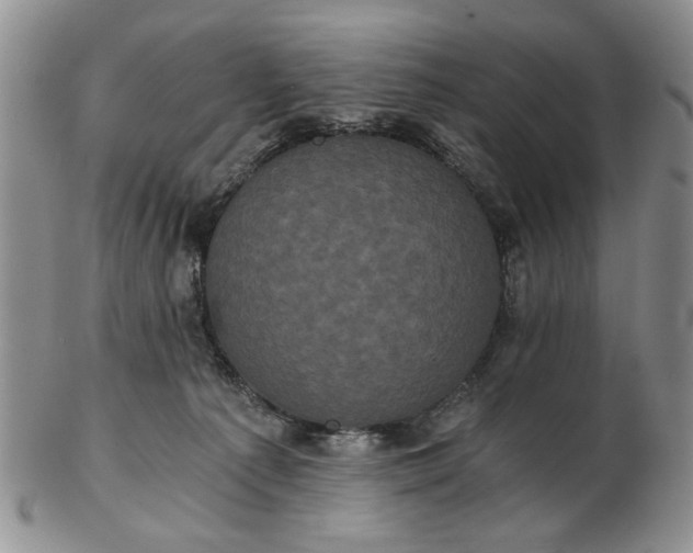 X0000102800225200809021143