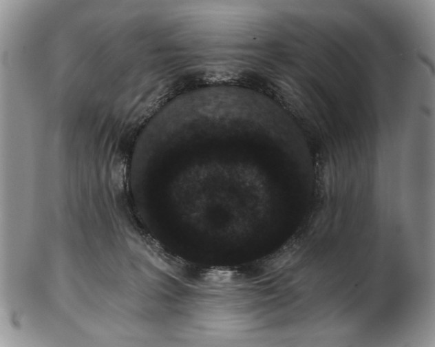 X0000102800227200809021143