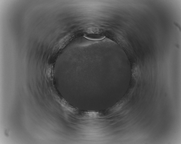 X0000102800233200809021143