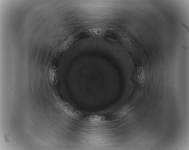 X0000102800235200809021143