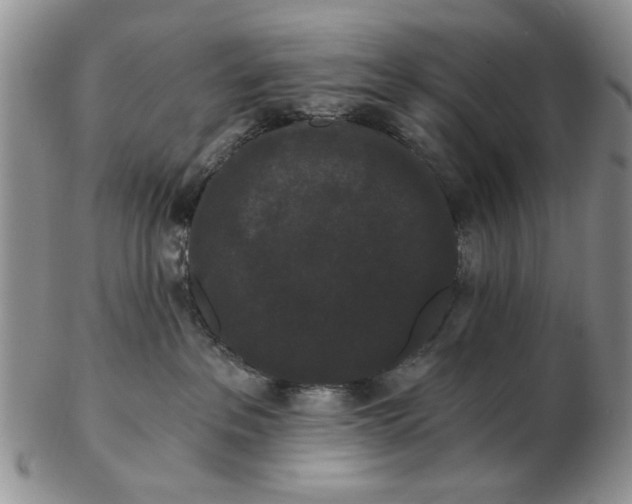 X0000102800237200809021143