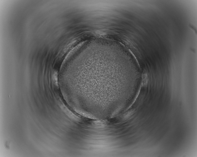 X0000102800238200809021143