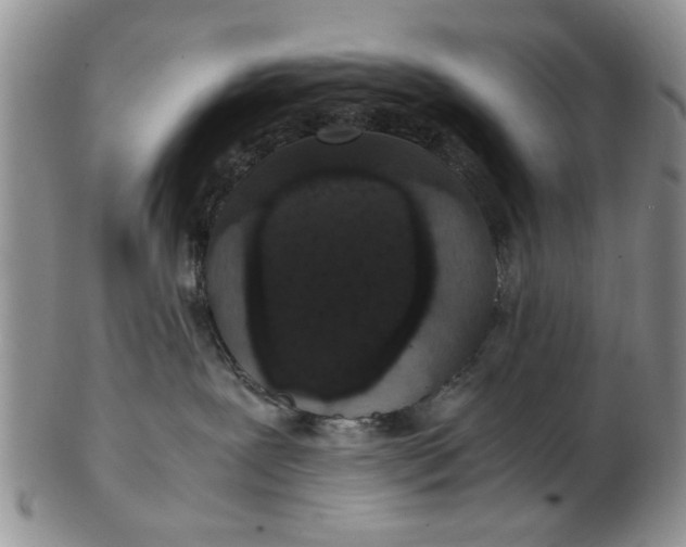 X0000102800239200809021143