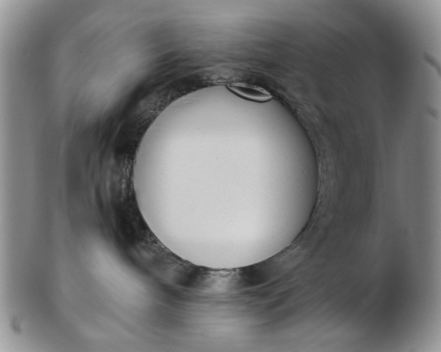 X0000102800240200809021143