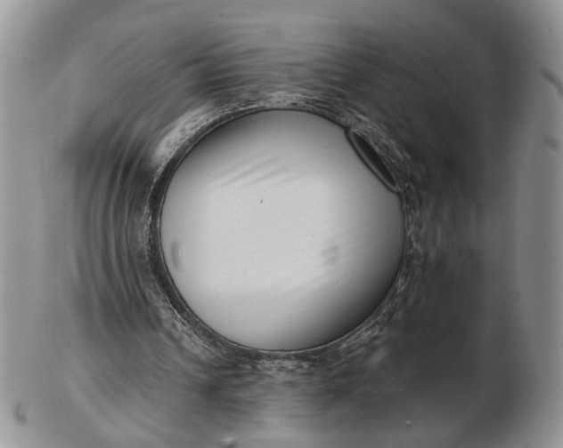 X0000102800242200809021142