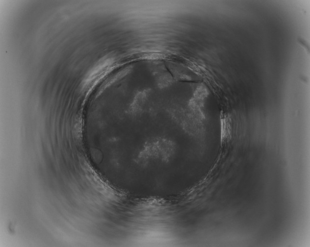 X0000102800243200809021143