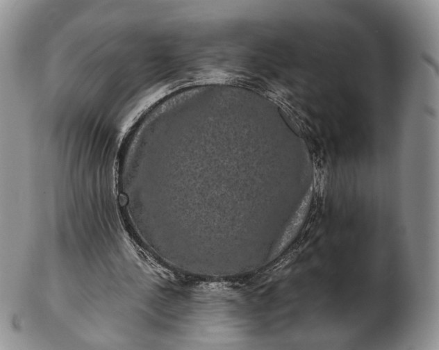 X0000102800244200809021143