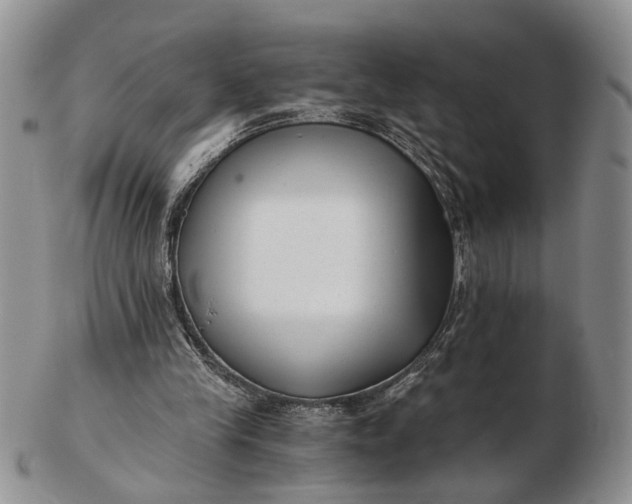 X0000102800245200809021143