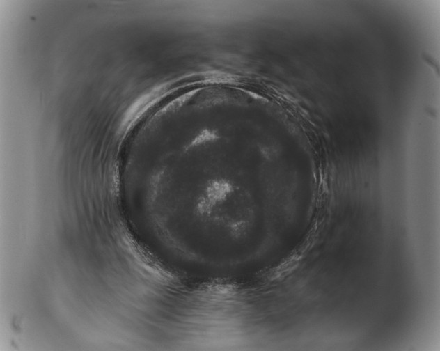 X0000102800247200809021143