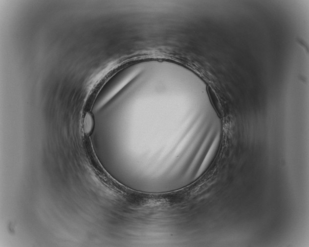 X0000102800248200809021143