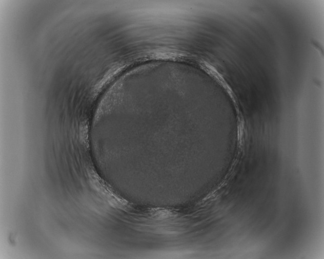 X0000102800249200809021143