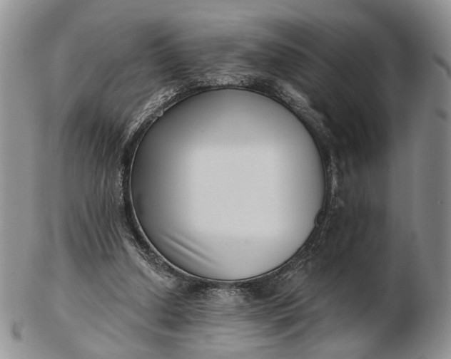 X0000102800250200809021143