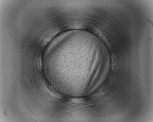 X0000102800251200809021143