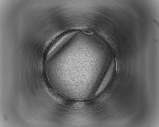 X0000102800252200809021143