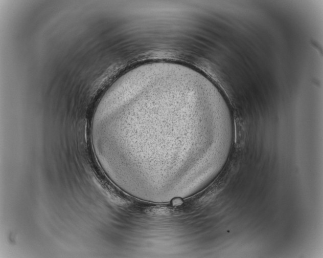 X0000102800253200809021143