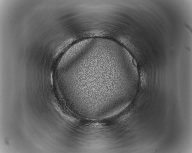 X0000102800254200809021143