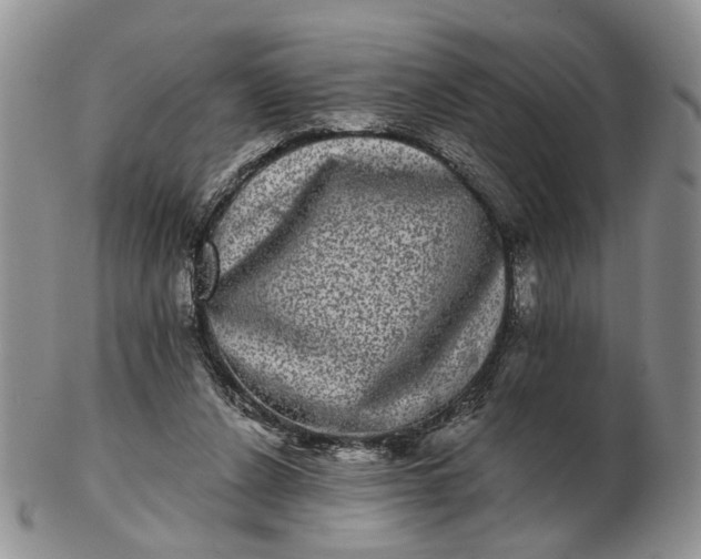 X0000102800256200809021143