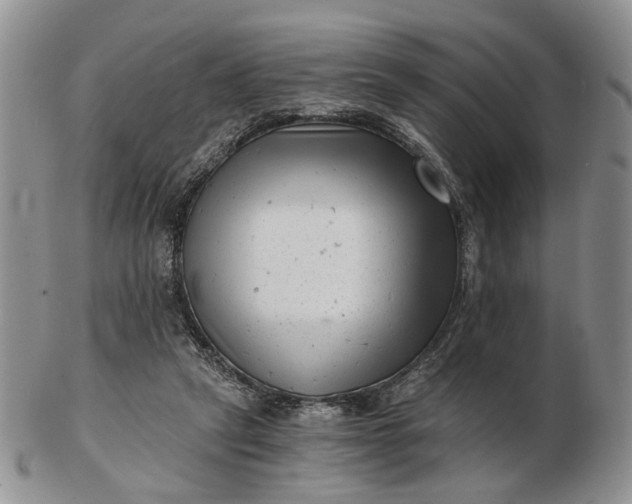 X0000102800257200809021143