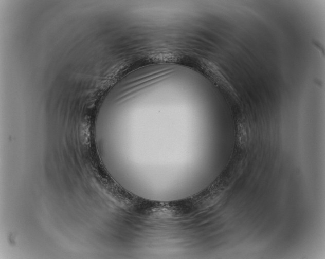 X0000102800259200809021143