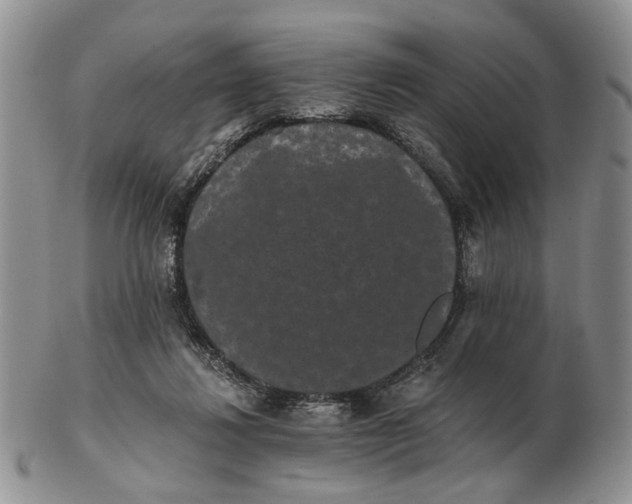 X0000102800260200809021143