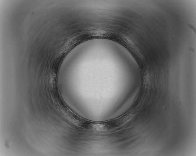 X0000102800265200809021143