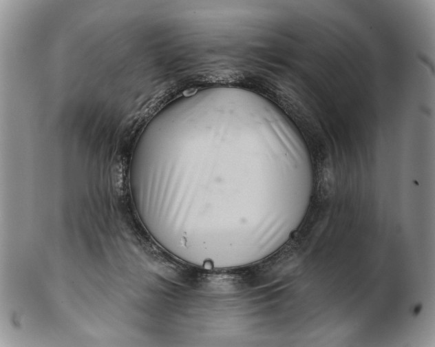 X0000102800268200809021143