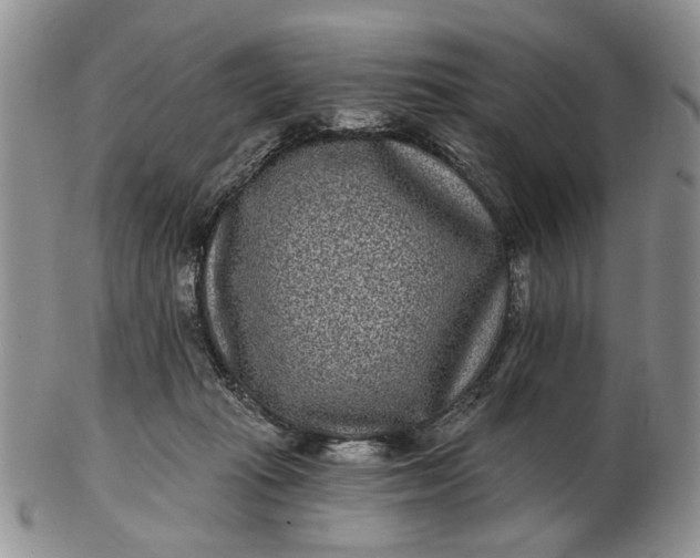 X0000102800269200809021143