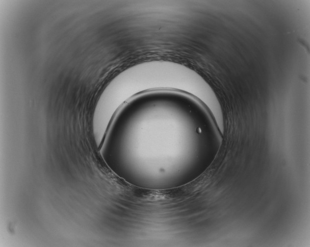 X0000102800276200809021143