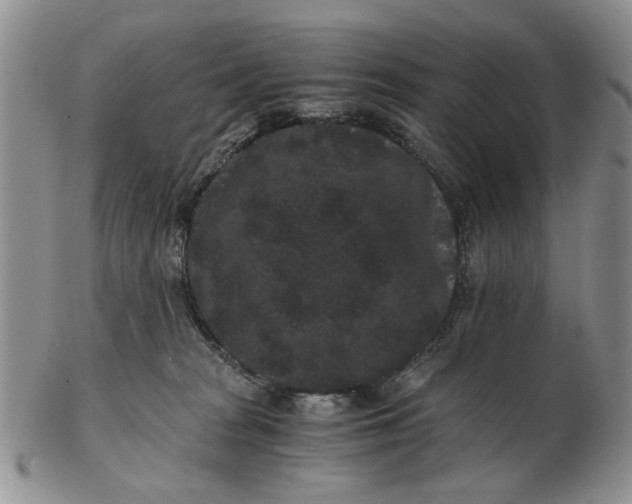 X0000102800277200809021143