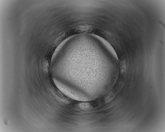 X0000102800279200809021143